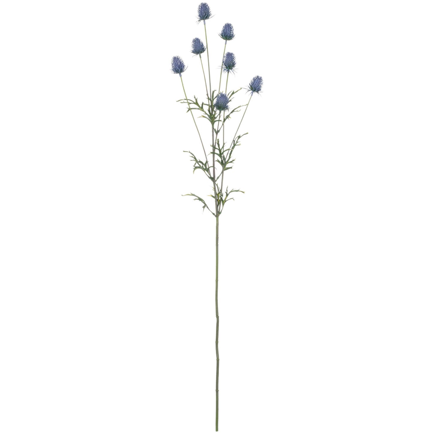 Thistle Bundle in Violet