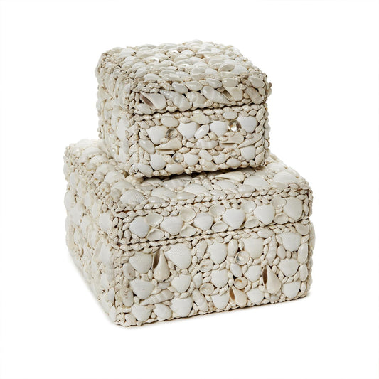 Shell Boxes