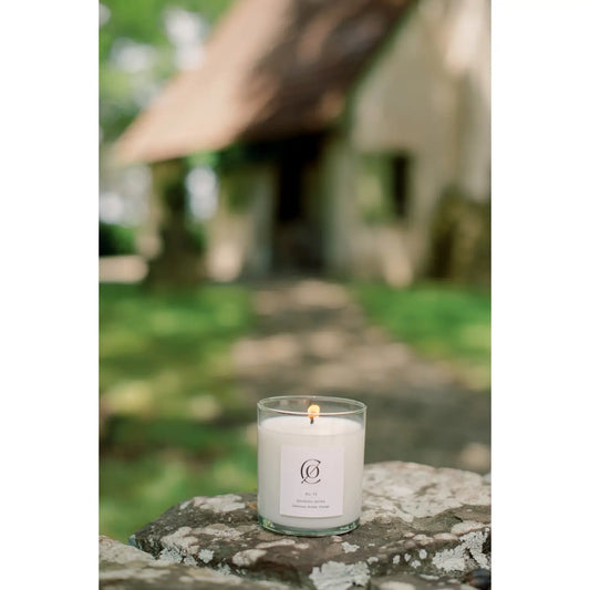9oz. Spanish Moss Soy Candle