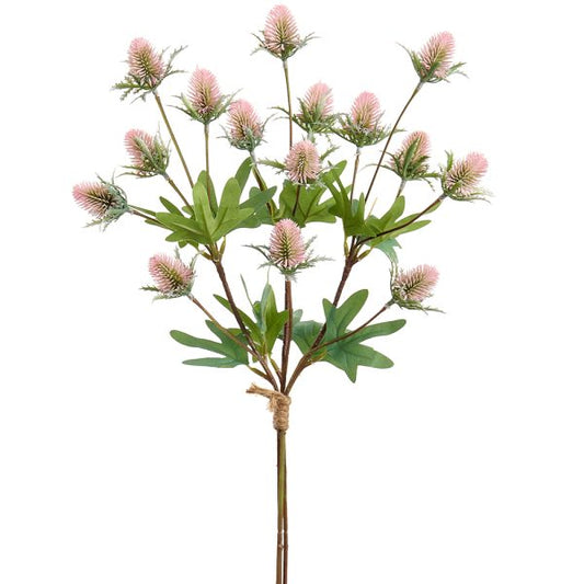 Thistle Bundle in Pink