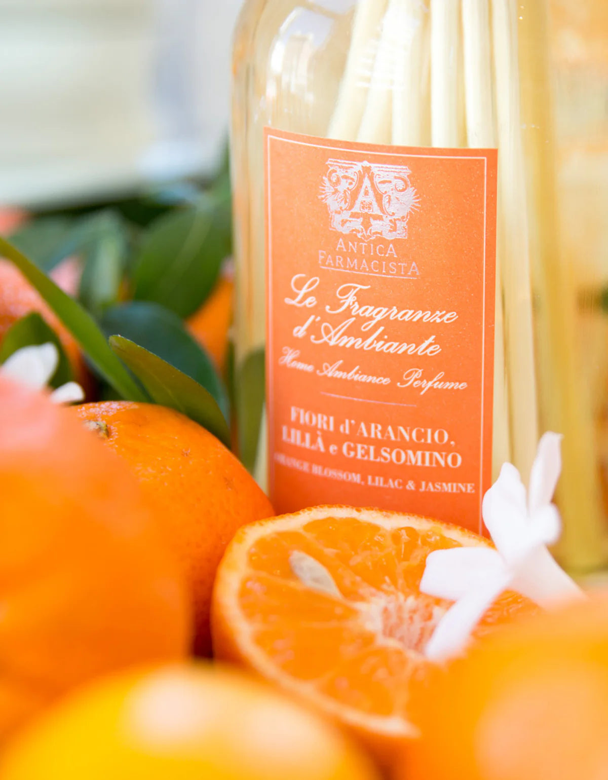 Orange Blossom Reed Diffuser- 250ml